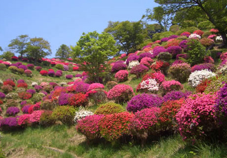 熊野山公園