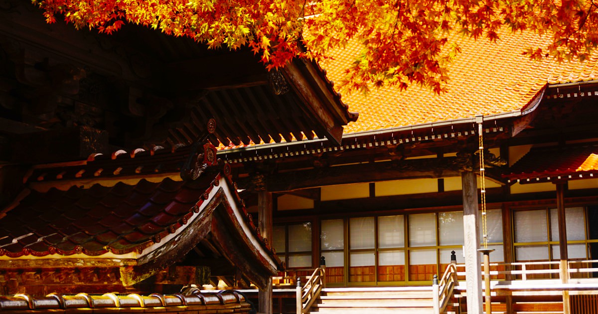 西念寺_紅葉