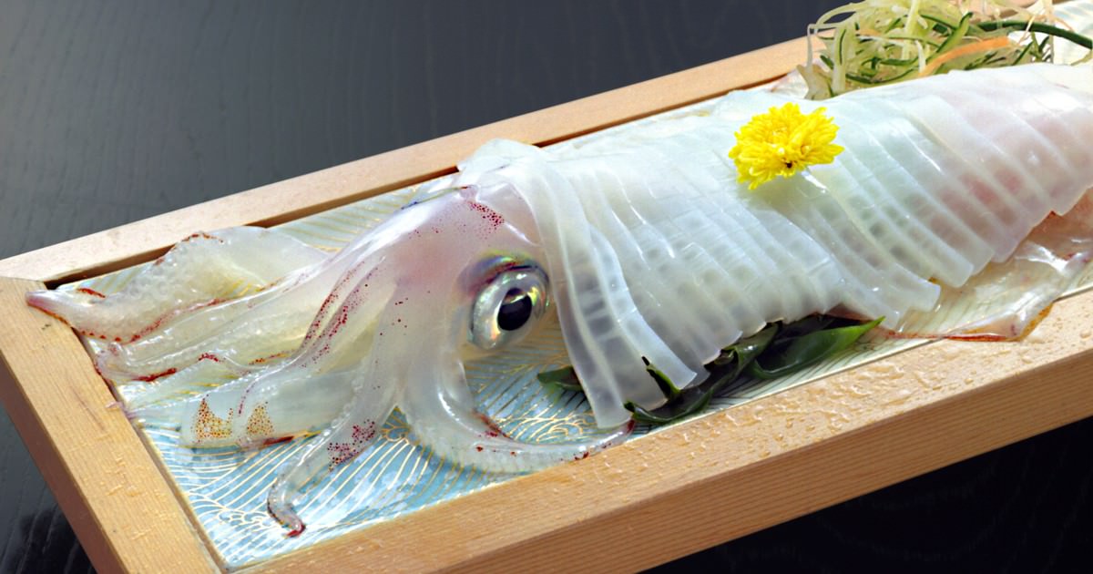 仙崎イカ