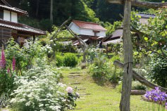 1705_roseg_03