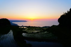 20170618_higashiushirobatatanada_3